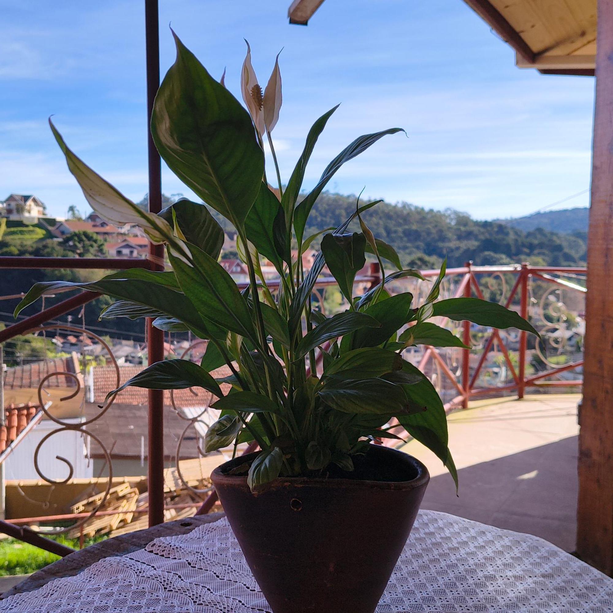 Suite Rustica Aconchego - Com Banheira De Hidromassagem Campos do Jordão Kültér fotó